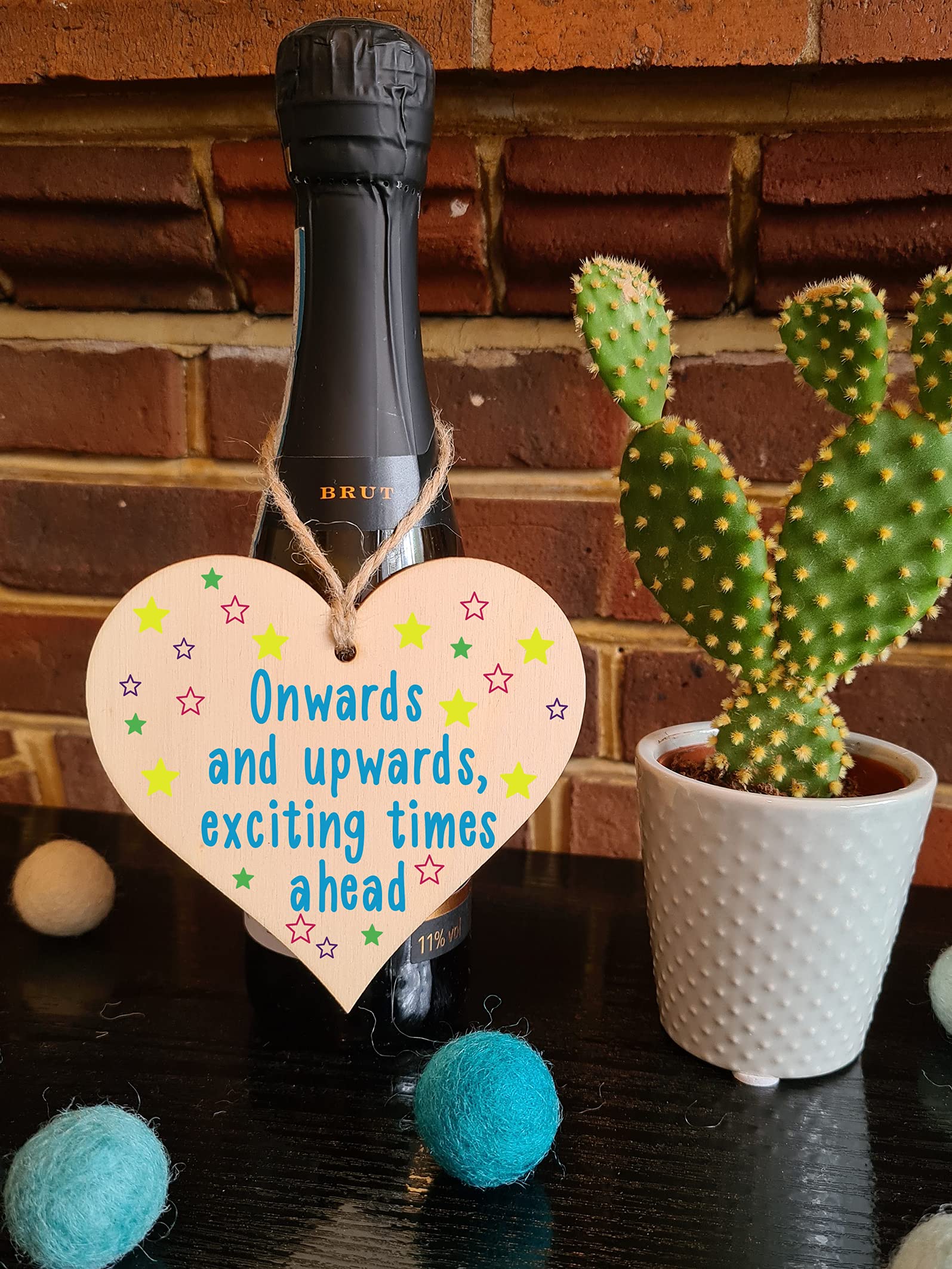 The Plum Penguin Handmade Wooden Hanging Heart Plaque Gift Exciting Times Ahead Leaving Present Work Colleague Friend Card Alternative