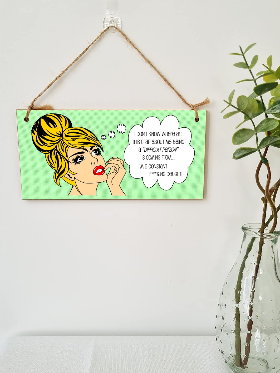 The Plum Penguin Handmade Wooden Hanging Wall Plaque I Don't Know Why Difficult Constant Delight Funny Rude Joke Novelty Sign