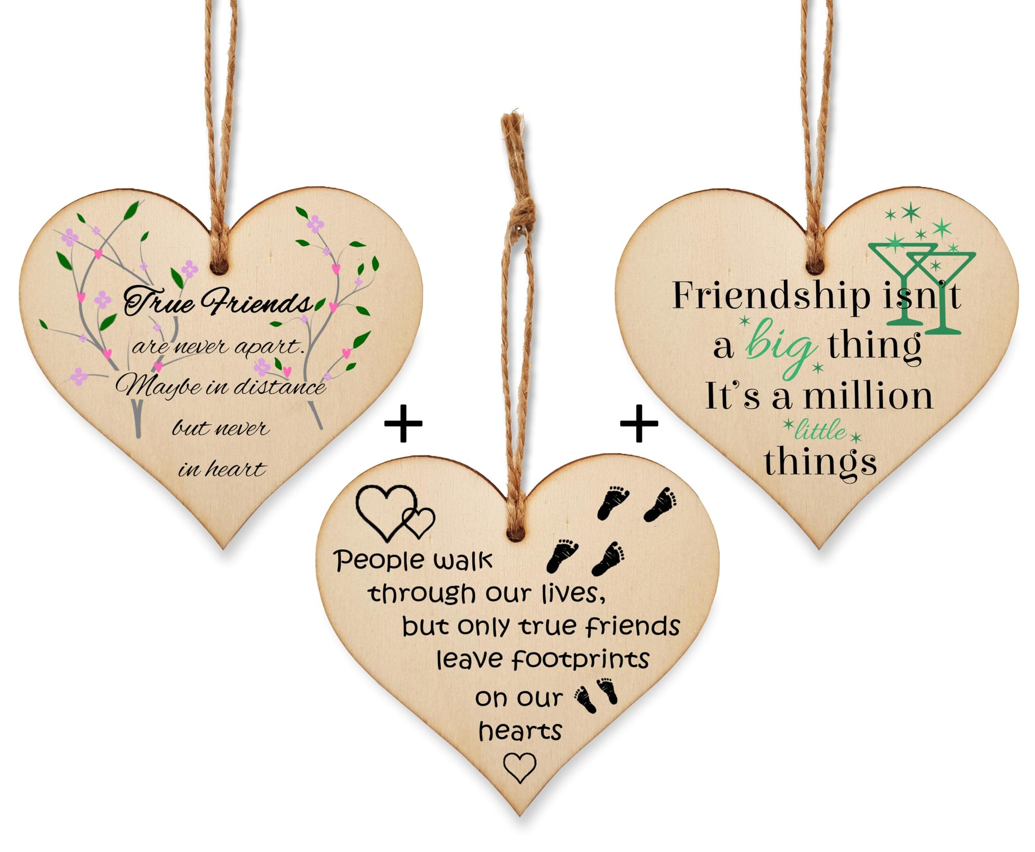The Plum Penguin Blossoming Bonds Unveiled in Heart Friendship Plaques