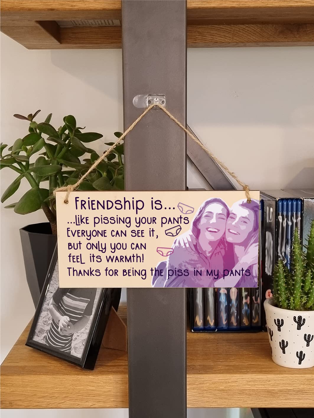 The Plum Penguin Handmade Wooden Hanging Wall Plaque Friendship is Like Pants Feel It's Warmth Funny Joke Rude Gift Sign