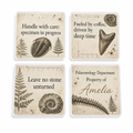 Professor Of Palaeontology Personalised Coasters (Set of 4)